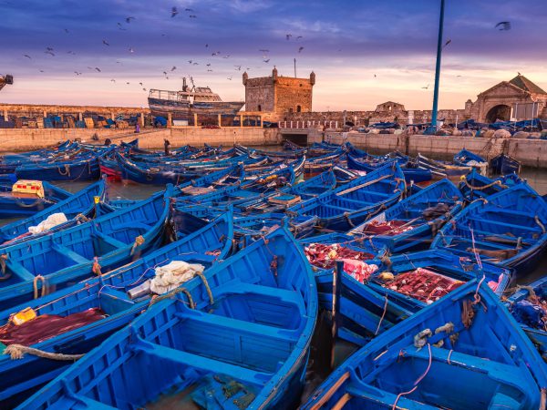 Essaouira,Port,In,Morocco.,Shot,After,Sunset,At,Blue,Hour.