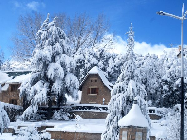 Ifran,City,,Morocco,,January,7th,2018,,A,Wooden,House,Surrounded