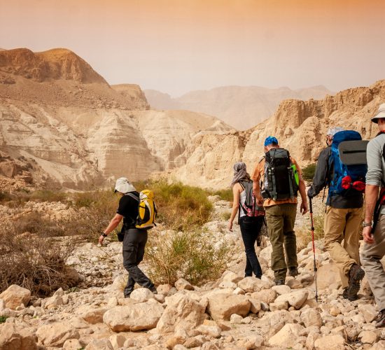 Group,Backpackers,People,Traveling,Descending,Desert,Trail,Stone,Cliffs,,Hiking