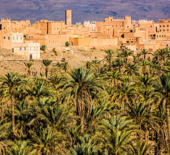 Palm,Oasis,In,Valley,Near,Nkob,Village,In,Morocco