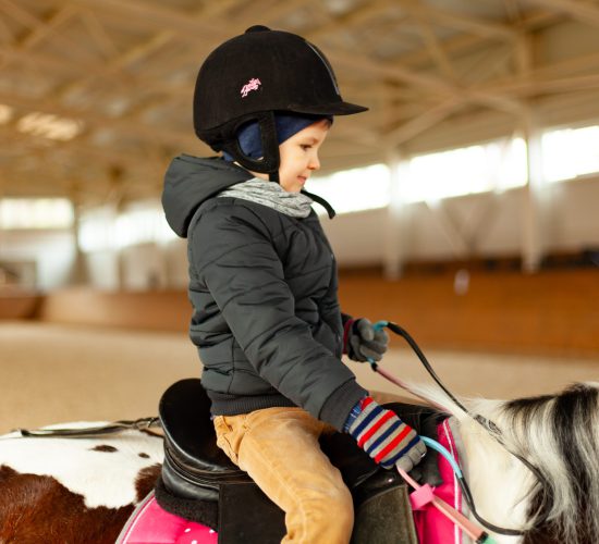 Young,Jockey,Boy,Riding,Horse,,Horseback,Training,On,Manege,,Lesson