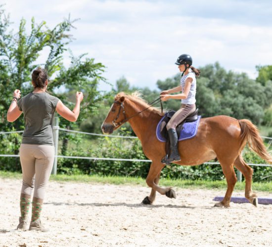 Riding,Girl,Are,Training,Her,Horse,In,Equestrian,Center