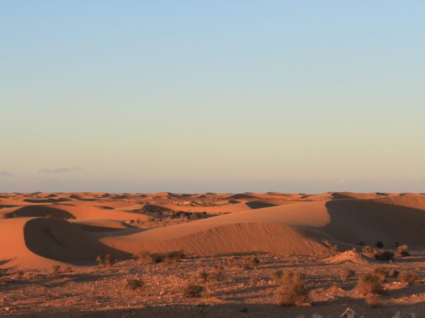 opp Circuit nature «Dunes et désert»-min