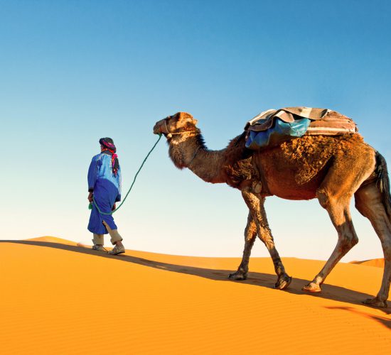 Camel,Caravan,Going,Through,The,Sand,Dunes,In,The,Sahara