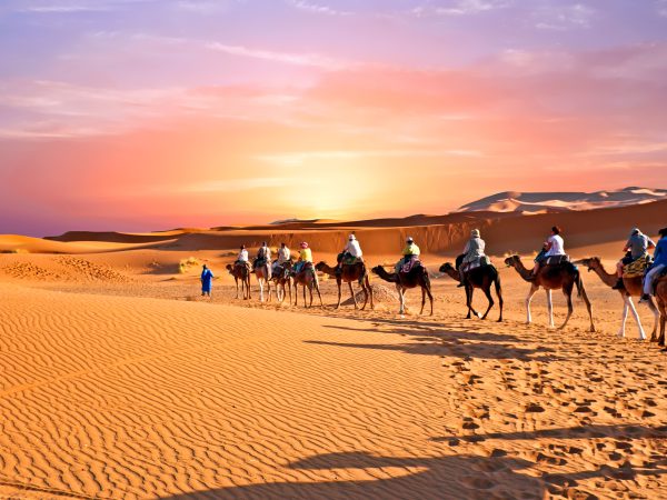 Camel,Caravan,Going,Through,The,Sand,Dunes,In,The,Sahara
