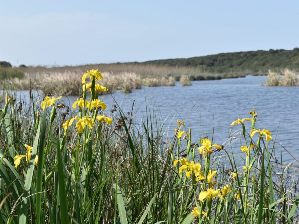Lac de Sidi Boughaba